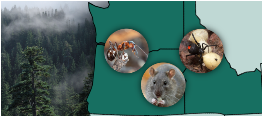Pest & wildlife image of the western states